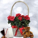 Red Azalea Basket with Teddy Bear and Diary