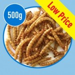 0.5kg Choice Dried Mealworms