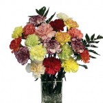 20 Mixed Carnations + FREE Chocolate Hearts