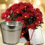 Chrysanthemum Plant with Metal Planter plus a 2016 Diary