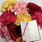 Mixed Christmas Carnations 10 Stems plus 2016 Diary