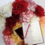 Mixed Christmas Carnations 20 Stems plus 2016 Diary