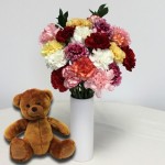 20 Mixed Christmas Carnations Vase + Teddy