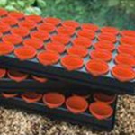 Growing Trays x3 with 120x6cm Pots