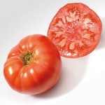 Heirloom Tomatoes Marmande 6 Jumbo Ready Plants