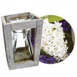 Hyacinth White Traditional Growing Kit x 1