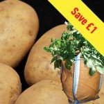 Maris Peer Seed Potatoes (1kg) Plus 3 Patio Planters