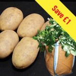 Maris Piper Seed Potatoes (1kg) Plus 3 Patio Planters