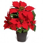 Red Potted Poinsettia 3x36cm