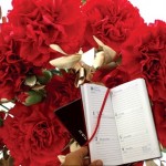 Red andamp; Gold Carnations 10 Stems plus Diary