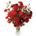 Red Carnations + gold foliage 10 Stems