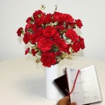 Red andamp; Gold Carnations 20 Stems + Vase plus a 2016 Diary
