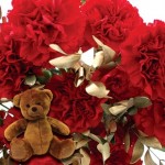 Red andamp; Gold Carnations 20 Stems + Cuddly Bear