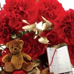 Red andamp; Gold Carnations 20 Stems + Cuddly Bear plus Diary