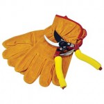 Gold Pro Secateurs and Gloves Set