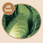 Cabbage Durham Early 400 Seeds