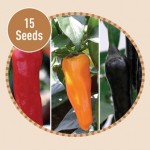 Chilli Pepper F1 15 Seeds