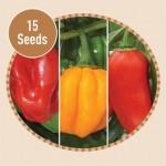 Chilli Peppers – Very Hot Collection 15 Seeds
