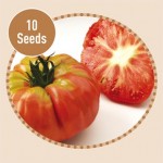 Heirloom Tomatoes Potiron Ecarlate 10 Seeds