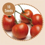 Heirloom Tomatoes Tigerella 10 Seeds