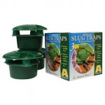 Slug Traps with Attractant (Pack of 3)