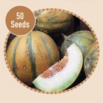 Melon Ogen 50 Seeds