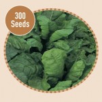 Leef Beet Perpetual Spinach 300 Seeds