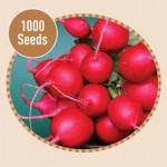 Radish Cherry Belle 1000 Seeds