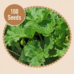 Rhubarb Glaskins Perpetual 100 Seeds
