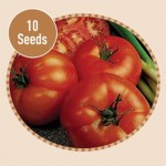 Tomato Beefmaster F1 10 Seeds