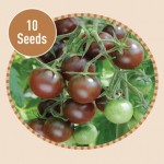 Tomato Chocolate Cherry 10 Seeds