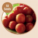 Tomato Gardener’s Delight 50 Seeds