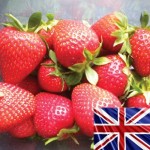 Strawberries Cambridge Favourite 10 Runners