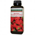 Strawberry Fertiliser 500ml