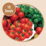 Tomato Sweet Million F1 10 Seeds
