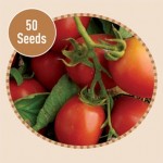 Tomato Roma 50 Seeds