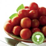 Tomato Gardeners Delight 12 Jumbo Ready Plants Save